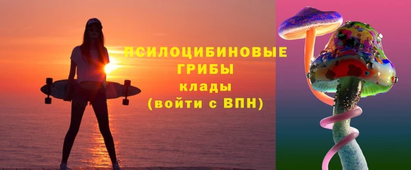 2c-b Армянск