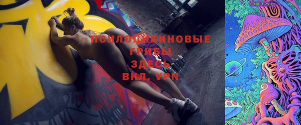 apvp Аркадак