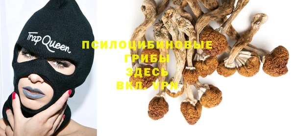 apvp Аркадак