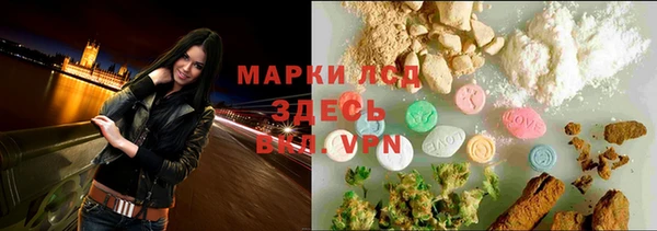 apvp Аркадак