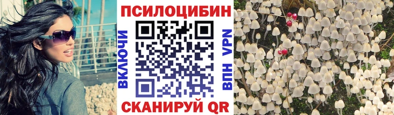 купить наркоту  omg ссылка  Псилоцибиновые грибы мицелий  Петровск-Забайкальский 